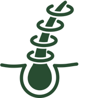 BALANCE OIL CONTROL